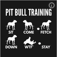 How to Train Pit Bulls