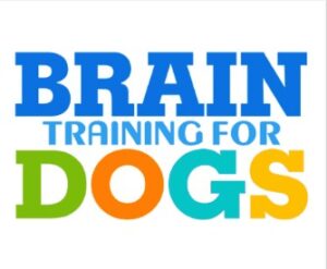 Brain training for dogs teach your dog how to play piano